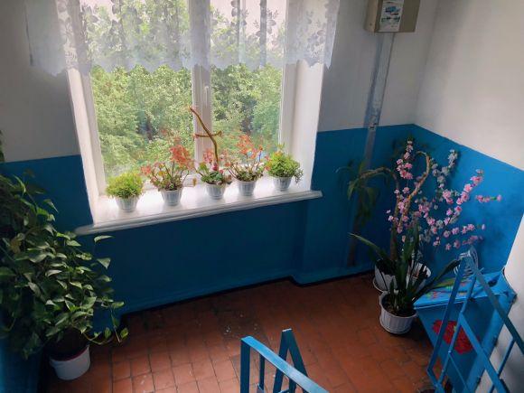 Новини Вінниці - фото з Будинок з іграшками: як двір на Станіславського перетворили на оазис Будинок з іграшками: як двір на Станіславського перетворили на оазис, фото №9 на сайті 20minut.ua