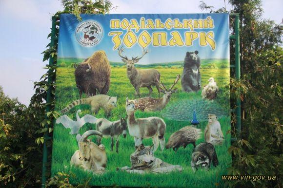 У Подільському зоопарку новий мешканець. Це двогорбий верблюд, фото №1 на сайті 20minut.ua