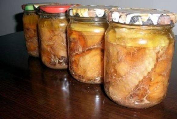 Події у Кам’янці-Подільському, які ви могли пропустити: ТОП-5 новин, фото №2 на сайті 20minut.ua