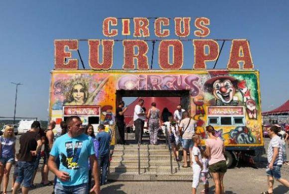 «Ні цирку з тваринами» – у Вінниці пройшла акція протесту, фото №2 на сайті 20minut.ua