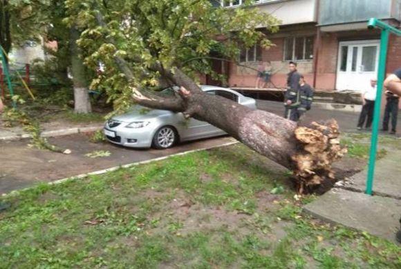 Новини Хмельницького - фото з ТОП-5 новин тижня у Хмельницькому, які ви могли пропустити ТОП-5 новин тижня у Хмельницькому, які ви могли пропустити, фото №2 на сайті vsim.ua