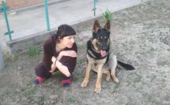 Новини Вінниці - фото з «Річ був нам, як дитина». Подружжя звинувачує в смерті вівчарки сусідку з «чебуречні»