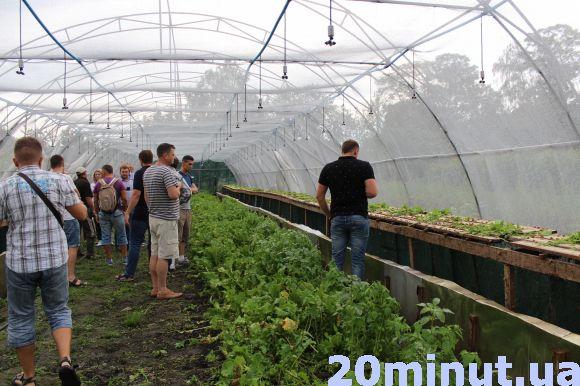 Равликові ферми: новий вид бізнесу на Тернопіллі, фото №6 на сайті 20minut.ua