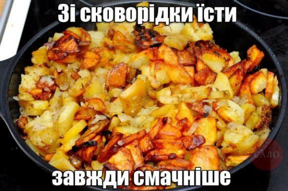 Сезон копання картоплі: середина серпня-початок вересня, фото №5 на сайті 20minut.ua