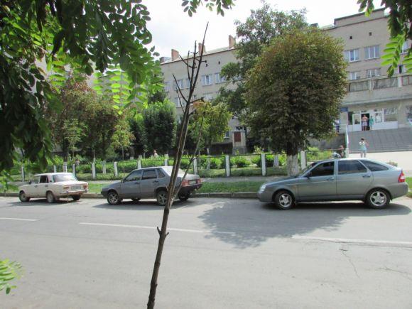Новини Козятина - фото з Оцінку озелененню красномовно дають козятинські сухостої