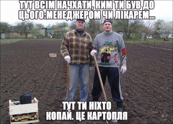 Сезон копання картоплі: середина серпня-початок вересня, фото №2 на сайті 20minut.ua