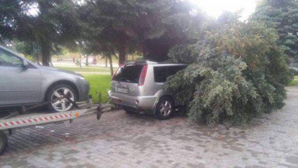 Наслідки негоди: повалені дерева утворювали затори, а також одне із них впало на Nissan, фото №1 на сайті 20minut.ua