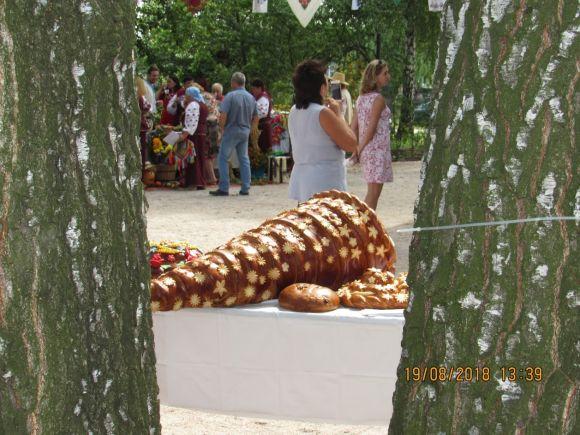 Новини Козятина - фото з Зібралися кращі умільці Вінниччини Зібралися кращі умільці Вінниччини, фото №53 на сайті 20minut.ua