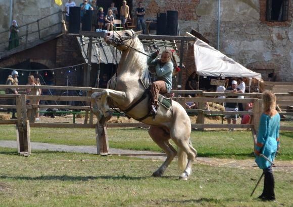 Хмельничан кличуть на  “Старкон фест”. Будуть лицарські бої, рок-музика і смачна їжа, фото №2 на сайті vsim.ua