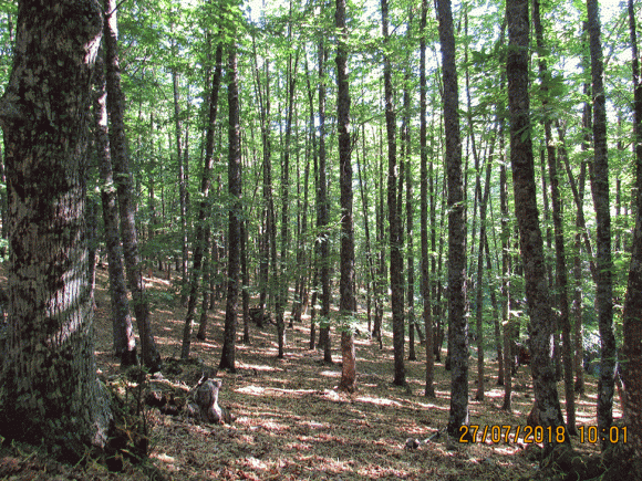 Новини Козятина - фото з Зібралися кращі умільці Вінниччини Зібралися кращі умільці Вінниччини, фото №4 на сайті 20minut.ua