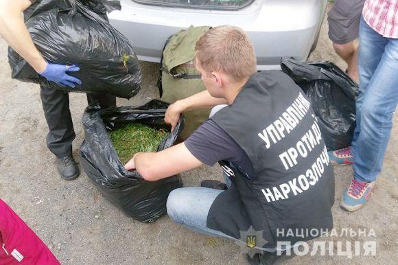 У Летичівському районі серед поля з соняшником знайшли величезну плантацію конопель, фото №3 на сайті vsim.ua