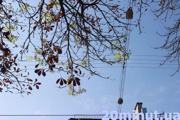 Новини Тернополя - фото з Чому тернопільські каштани зацвіли у серпні, пояснив експерт Чому тернопільські каштани зацвіли у серпні, пояснив експерт, фото №4 на сайті 20minut.ua