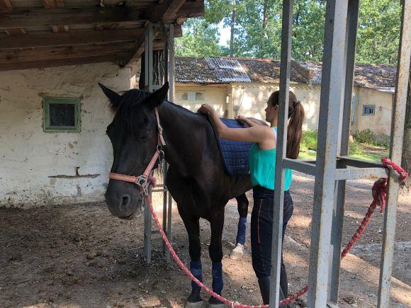 Новини Вінниці - фото з #Нові_враження: як ми вперше каталися верхи #Нові_враження: як ми вперше каталися верхи, фото №6 на сайті 20minut.ua