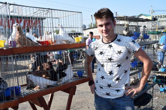 Новини Тернополя - фото з На виставку привезли голубів зі всієї України На виставку привезли голубів зі всієї України, фото №3 на сайті 20minut.ua