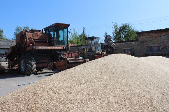 Новини Вінниці - фото з Аграрії страйкують проти «розпродажу землі». Чим можна замінити мораторій, що діє вже 17 років? Аграрії страйкують проти «розпродажу землі». Чим можна замінити мораторій, що діє вже 17 років?, фото №9 на сайті 20minut.ua