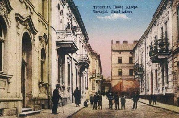 Вулицю Кульчицької прикрашатиме мобільне та вертикальне озеленення, фото №1 на сайті 20minut.ua