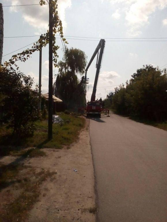 Останні серпневі дні на Козятинщині, фото №2 на сайті 20minut.ua