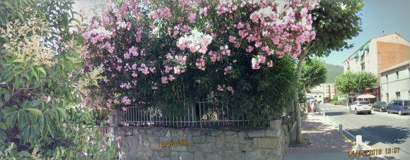 Іспанські фото - мотиватори очима Українця .Колаж зображень міста, фото №18 на сайті 20minut.ua