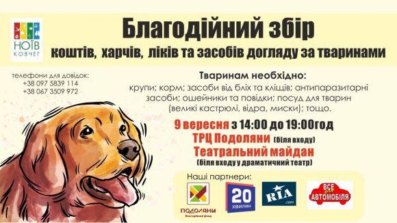 Волонтери збиратимуть кошти для безпритульних тварин, фото №1 на сайті 20minut.ua