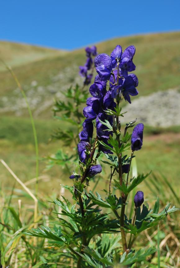 Прихований світ – мандрівка на озера Чорногори, фото №5 на сайті 20minut.ua