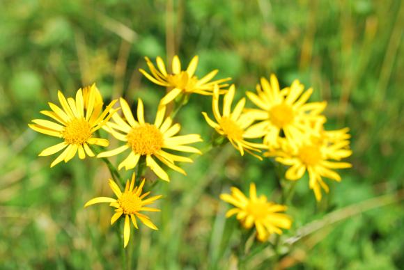 Прихований світ – мандрівка на озера Чорногори, фото №2 на сайті 20minut.ua
