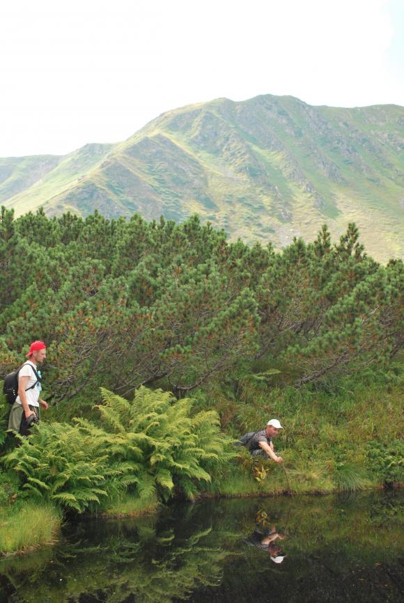 Прихований світ – мандрівка на озера Чорногори, фото №3 на сайті 20minut.ua