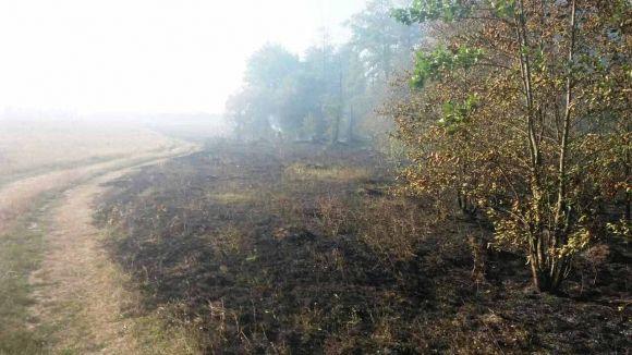 У Любарському районі пожежні загасили пожежу на площі 3 гектари, фото №1 на сайті 20minut.ua