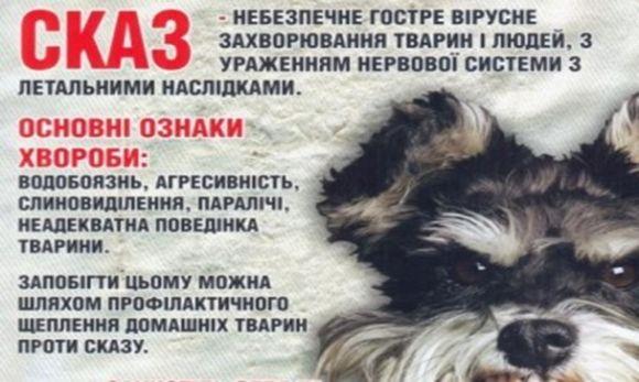 Новини Вінниці - фото з Мертва скажена лисиця: на Вінниччині у райцентрі оголосили карантин Мертва скажена лисиця: на Вінниччині у райцентрі оголосили карантин, фото №1 на сайті 20minut.ua