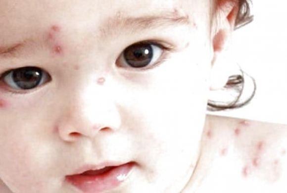 Події у Кам’янці-Подільському, які ви могли пропустити: ТОП-5 новин, фото №5 на сайті 20minut.ua