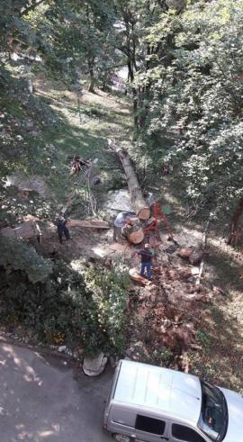 Величезне дерево впало на дитячий майданчик, розтрощивши нові гойдалки, фото №4 на сайті 20minut.ua