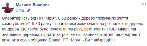 Величезне дерево впало на дитячий майданчик, розтрощивши нові гойдалки, фото №2 на сайті 20minut.ua