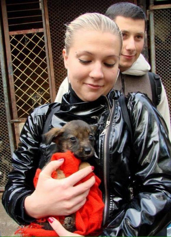 Вчилась на собаках, а тепер їм допомагає: як стоматолог рятує тварин, фото №3 на сайті 20minut.ua