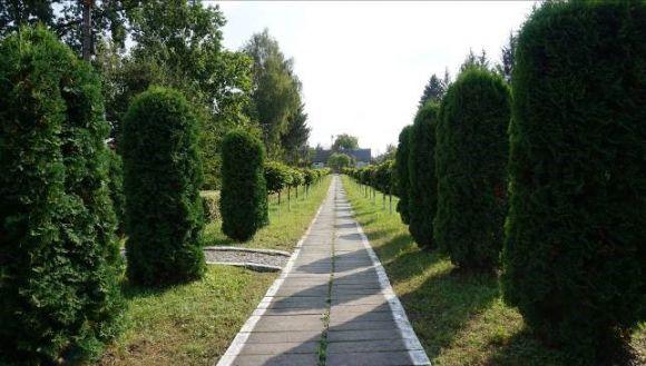 У Білокоровицькій ОТГ розвиватимуть соціальну інфраструктуру та кооперацію, фото №2 на сайті 20minut.ua