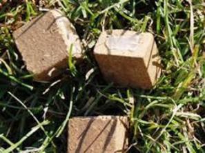 Новини Хмельницького - фото з На Хмельниччині з літаків розкидатимуть вакцину від сказу На Хмельниччині з літаків розкидатимуть вакцину від сказу, фото №1 на сайті vsim.ua