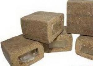 Новини Хмельницького - фото з На Хмельниччині з літаків розкидатимуть вакцину від сказу На Хмельниччині з літаків розкидатимуть вакцину від сказу, фото №2 на сайті vsim.ua