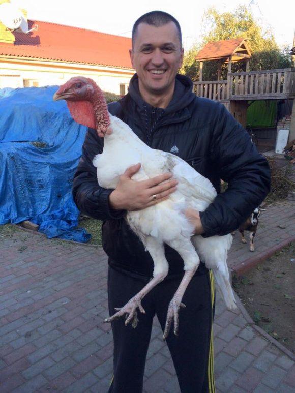 Політична «тушонка»: або чим задаровують вінницькі політики свій електорат, фото №1 на сайті 20minut.ua