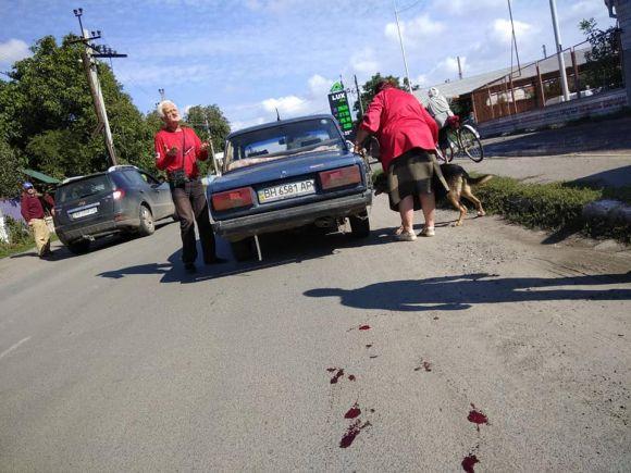 У Бершаді прив'язали собаку до бампера авто і хотіли вивезти за місто (ОНОВЛЕНО), фото №1 на сайті 20minut.ua