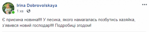 Новини Вінниці - фото з У Бершаді прив'язали собаку до бампера авто і хотіли вивезти за місто (ОНОВЛЕНО)