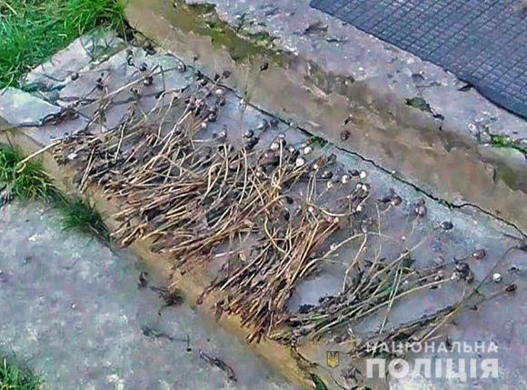 Новини Житомира - фото з Пенсіонерка з Коростишівського району зберігала вдома наркотики та боєприпаси Пенсіонерка з Коростишівського району зберігала вдома наркотики та боєприпаси, фото №2 на сайті 20minut.ua