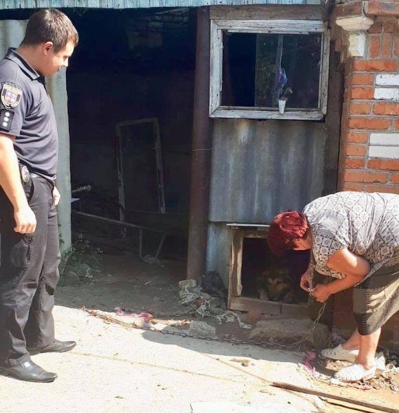 Нікого до себе не підпускає, крім хазяйки. Що сталося із травмованим у Бершаді собакою, фото №3 на сайті 20minut.ua