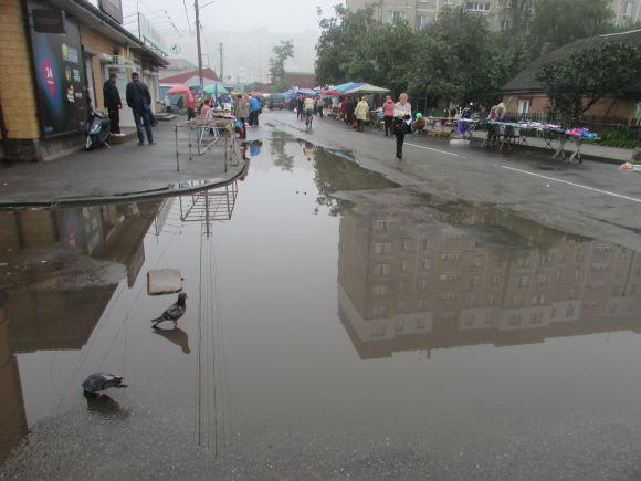 Козятинський благоустрій. Вересень-2018 (Оновлено), фото №11 на сайті 20minut.ua