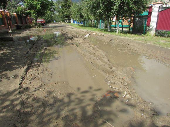 Козятинський благоустрій. Вересень-2018 (Оновлено), фото №17 на сайті 20minut.ua