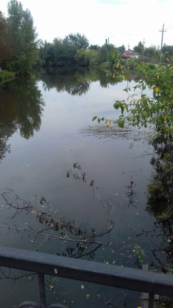 Козятинський благоустрій. Вересень-2018 (Оновлено), фото №2 на сайті 20minut.ua