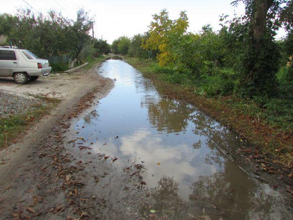 Козятинський благоустрій. Вересень-2018 (Оновлено), фото №19 на сайті 20minut.ua