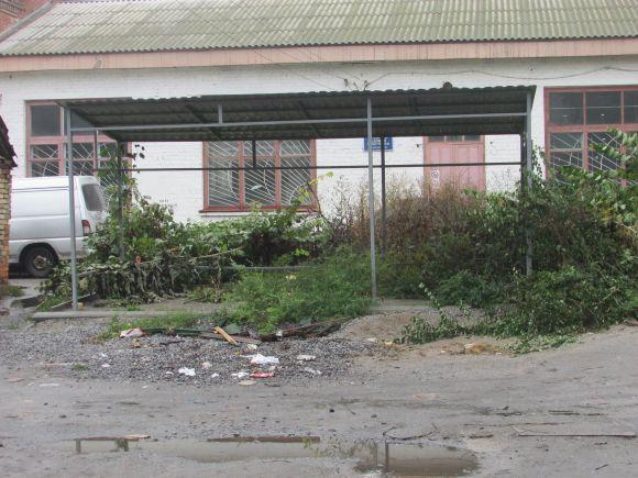 Козятинський благоустрій. Вересень-2018 (Оновлено), фото №15 на сайті 20minut.ua