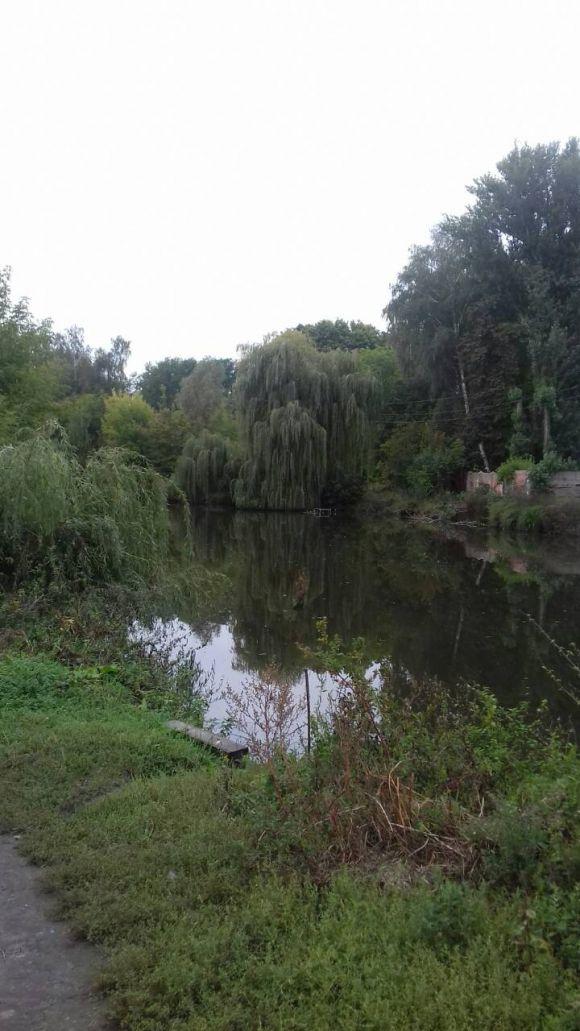 Козятинський благоустрій. Вересень-2018 (Оновлено), фото №4 на сайті 20minut.ua