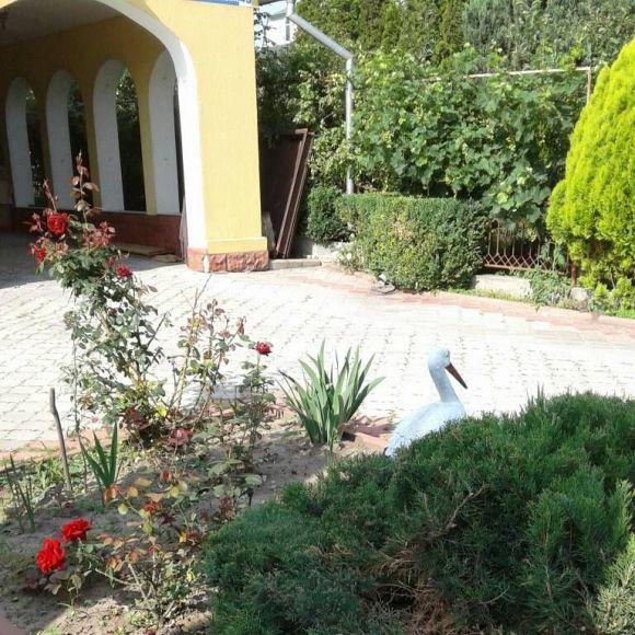 Найкращий двір на Тернопільській, а під'їзд на Хотовицького: хто переміг у конкурсі на благоустрій, фото №8 на сайті vsim.ua