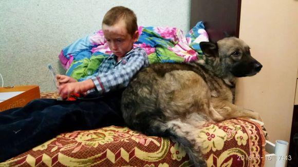 Сюрприз від Максимка Лихолата, або Чому хлопчик примусив плакати дорослих, фото №2 на сайті 20minut.ua