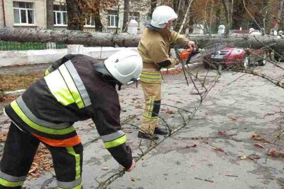 Потрощений ВАЗ та затор на дорозі: у Волочиську вітер повалив дерево прямо на автомобіль, фото №3 на сайті vsim.ua