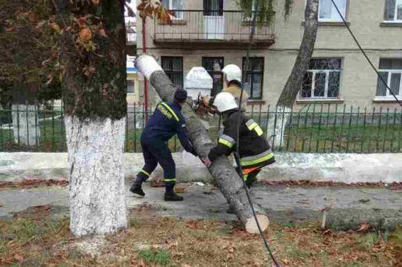 Потрощений ВАЗ та затор на дорозі: у Волочиську вітер повалив дерево прямо на автомобіль, фото №2 на сайті vsim.ua